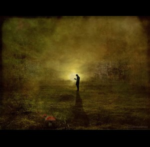 (I do not own this image. Image belongs to Hartwig HKD.)