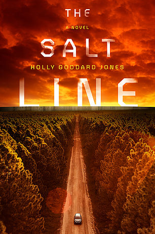 the salt line